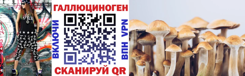 Псилоцибиновые грибы Psilocybe  площадка наркотические препараты  Озёры  купить закладку  МЕГА tor 